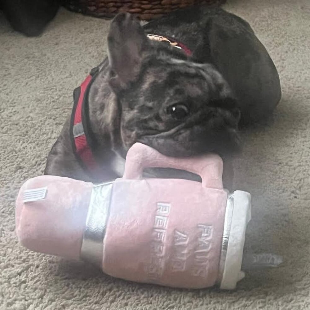 STANLEY CUP FOR YOUR PUP!